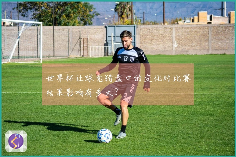 世界杯让球竞猜盘口的变化对比赛结果影响有多大？