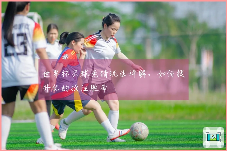 世界杯买球竞猜玩法详解，如何提升你的投注胜率