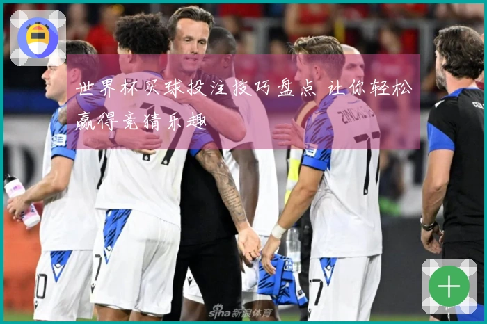 世界杯买球投注技巧盘点 让你轻松赢得竞猜乐趣