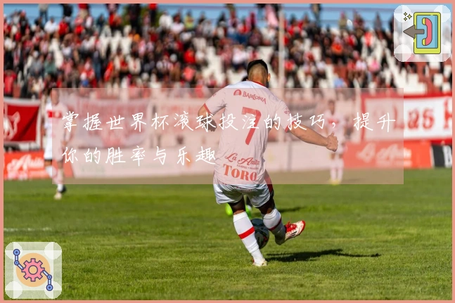掌握世界杯滚球投注的技巧，提升你的胜率与乐趣