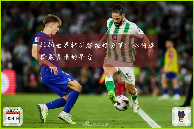 2026世界杯买球经验分享：如何选择最靠谱的平台