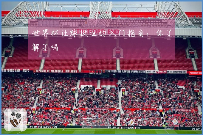 世界杯让球投注的入门指南，你了解了吗