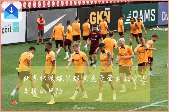 世界杯滚球买球究竟是盈利机会还是投机风险