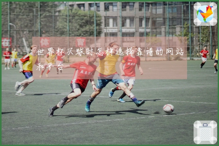 世界杯买球时怎样选择靠谱的网站和平台