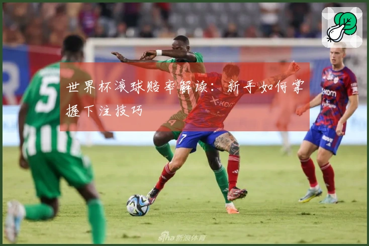 世界杯滚球赔率解读：新手如何掌握下注技巧