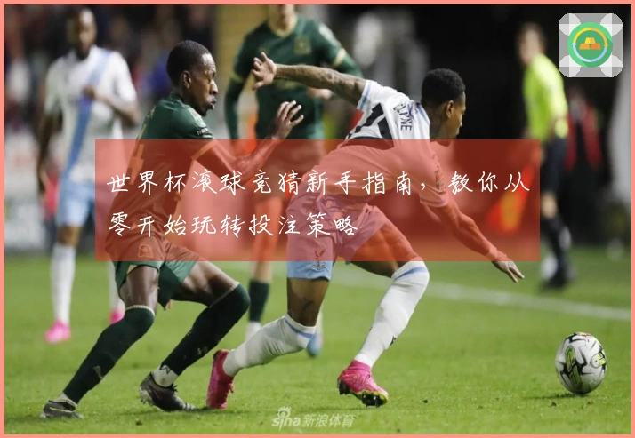 世界杯滚球竞猜新手指南，教你从零开始玩转投注策略